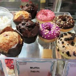 Puppychino Budapest - Étel/ital