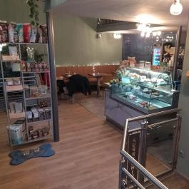 Puppychino Budapest - Egyéb