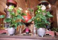 QUÍ Budapest Budapest