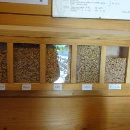 Ráckevei Hajómalom, Ráckeve - 