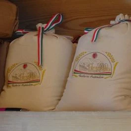 Ráckevei Hajómalom, Ráckeve - 