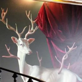 Rajkot Palace Budapest - Belső