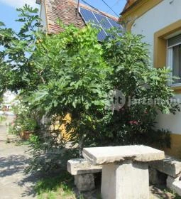 Ráspi Étterem - Vinárium és Borászat