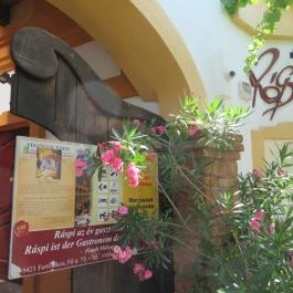 Ráspi Étterem - Vinárium és Borászat, Fertőrákos - Egyéb