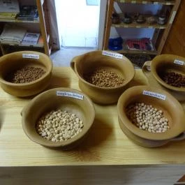 Régészeti Park Százhalombatta - Egyéb