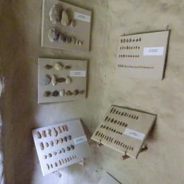 Régészeti Park Százhalombatta - Egyéb