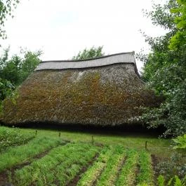 Régészeti Park Százhalombatta - Egyéb