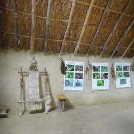 Régészeti Park Százhalombatta - Egyéb