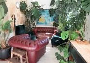 Reggel Délben Budapest