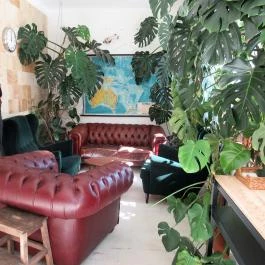 Reggel Délben Budapest - Belső