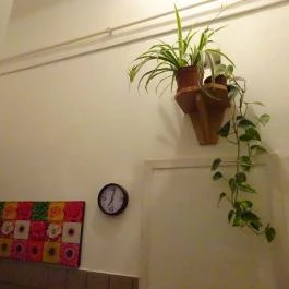 Régiposta Apartman Miskolc - Belső