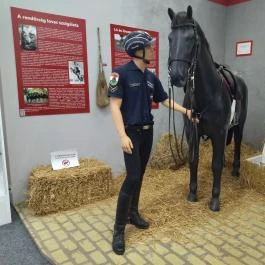 Rendőrmúzeum Budapest - Egyéb