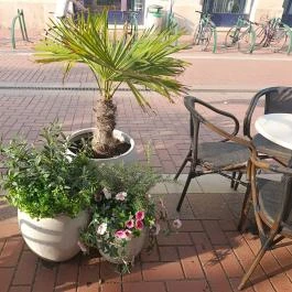 REÖK Kézműves Cukrászda, Szeged - Külső kép