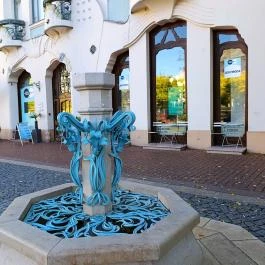 REÖK - Regionális Összművészeti Központ, Szeged - Egyéb