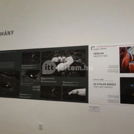 Robert Capa Kortárs Fotográfiai Központ, Budapest - Belső