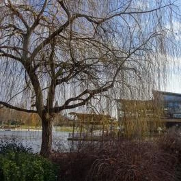 Robinson Restaurant Budapest - Külső kép