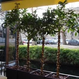 Robinson Restaurant Budapest - Külső kép