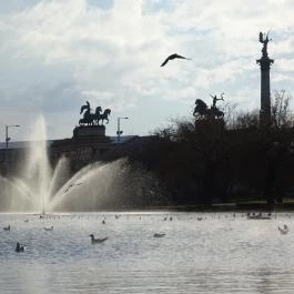 Robinson Restaurant Budapest - Egyéb