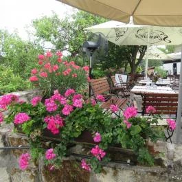 Rókusfalvy Fogadó étterme, Etyek - Egyéb