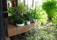 Romantika Cukrászda Ráckeve