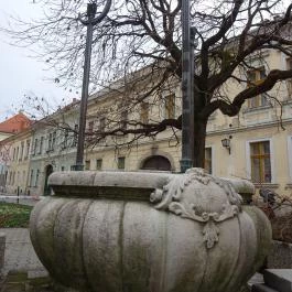 Rosetta Étterem, Székesfehérvár - Külső kép