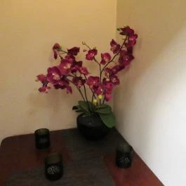 Rosetta Étterem, Székesfehérvár - Egyéb