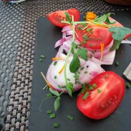 Rosetta Étterem, Székesfehérvár - Egyéb