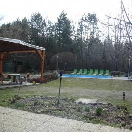 Rosinante Fogadó , Szigetmonostor - Medence/kert