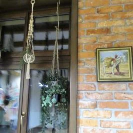 Rossita Pizzéria Olaszos Vendéglő Miskolc - Egyéb