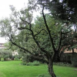 Rotburger Látványsörfőzde, Söröző & Sörkert Pilisvörösvár - Egyéb