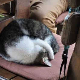 Rotburger Látványsörfőzde, Söröző & Sörkert Pilisvörösvár - Egyéb