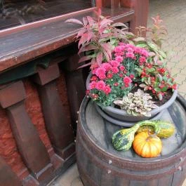 Rotburger Látványsörfőzde, Söröző & Sörkert Pilisvörösvár - Egyéb