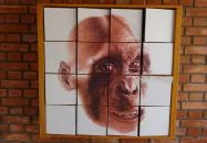 Rudapithecus Látogatóközpont Rudabánya