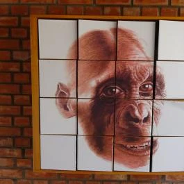 Rudapithecus Látogatóközpont Rudabánya - Egyéb