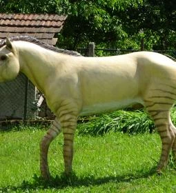 Rudapithecus Látogatóközpont