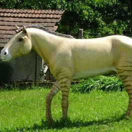 Rudapithecus Látogatóközpont Rudabánya - Egyéb