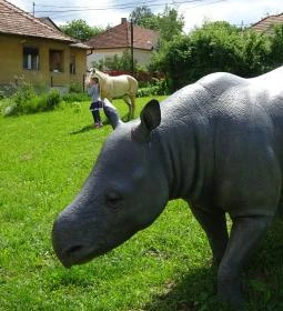 Rudapithecus Látogatóközpont