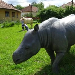 Rudapithecus Látogatóközpont Rudabánya - Egyéb