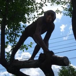 Rudapithecus Látogatóközpont Rudabánya - Egyéb