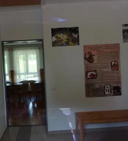 Rudapithecus Látogatóközpont