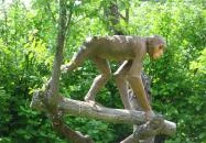 Rudapithecus Látogatóközpont Rudabánya