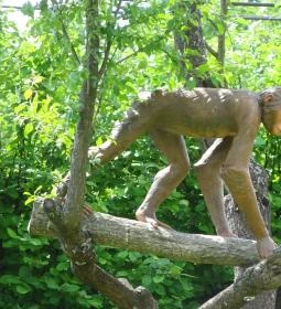 Rudapithecus Látogatóközpont