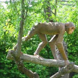 Rudapithecus Látogatóközpont Rudabánya - Egyéb