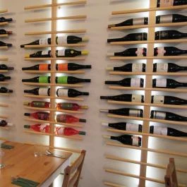 RUTIN Gasztrolubickoló Budaörs - Egyéb