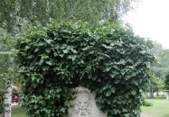 Sá-Ra Termál Hegykő Hegykő