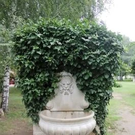 Sá-Ra Termál Hegykő Hegykő - Egyéb