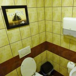 Sakana & Sakura Sushi Bar Budapest - Mosdó