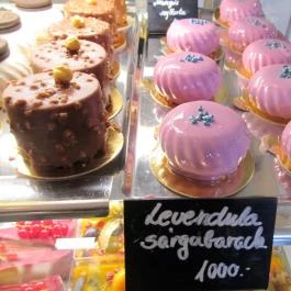 Sakura, Nagymaros - Egyéb