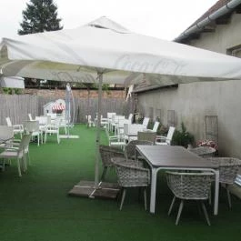 Sakura, Nagymaros - Egyéb