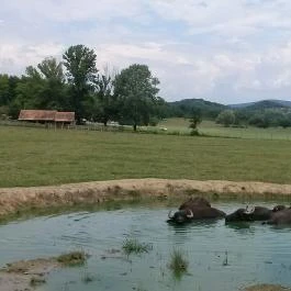 Salföldi Major, Salföld - 